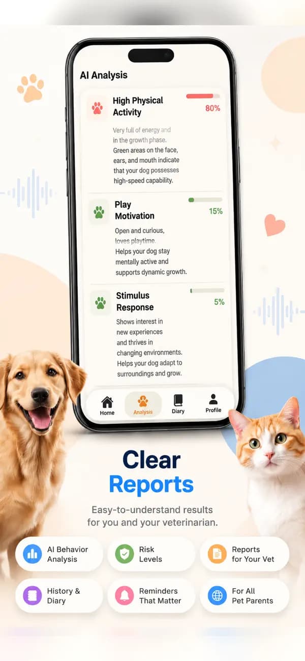 PetTalk AI — Clear reports